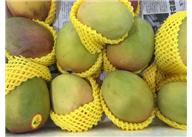 發(fā)泡網(wǎng)廠