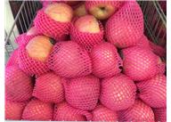 南京pvc發(fā)泡網(wǎng)