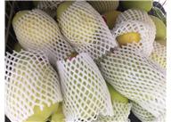 水果發(fā)泡網套