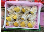 塑料發(fā)泡網