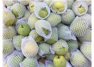 發(fā)泡網價格