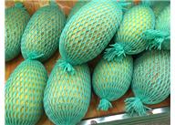 蘋果發(fā)泡網