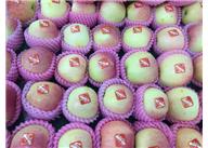 發(fā)泡水果網套