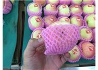 發(fā)泡棉價格